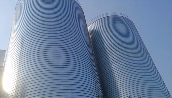 杨浦2座混凝土高架卷板仓